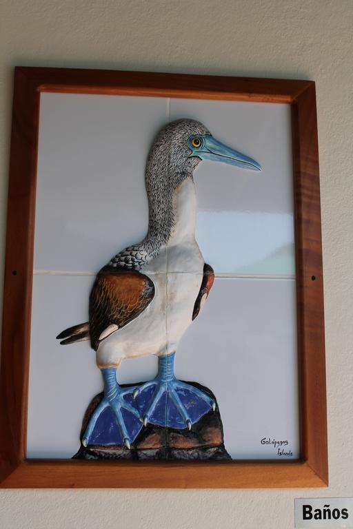 Galapagos * Puerto Ayora (Galapagos Islands)
