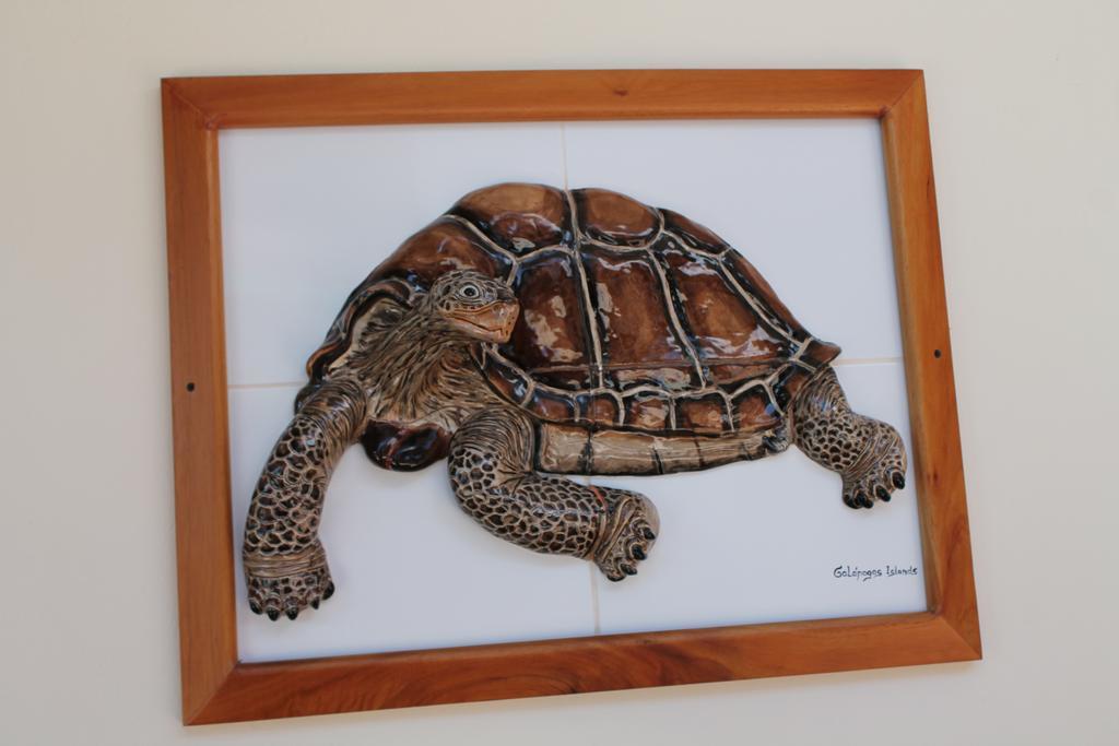 Galapagos